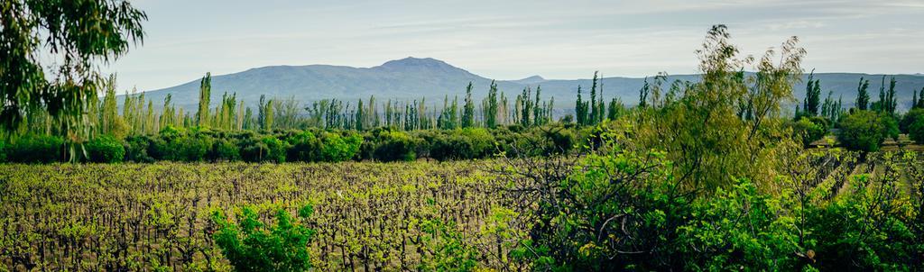 سان رافاييل Finca La Encantada المظهر الخارجي الصورة