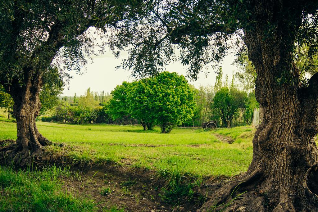 سان رافاييل Finca La Encantada المظهر الخارجي الصورة